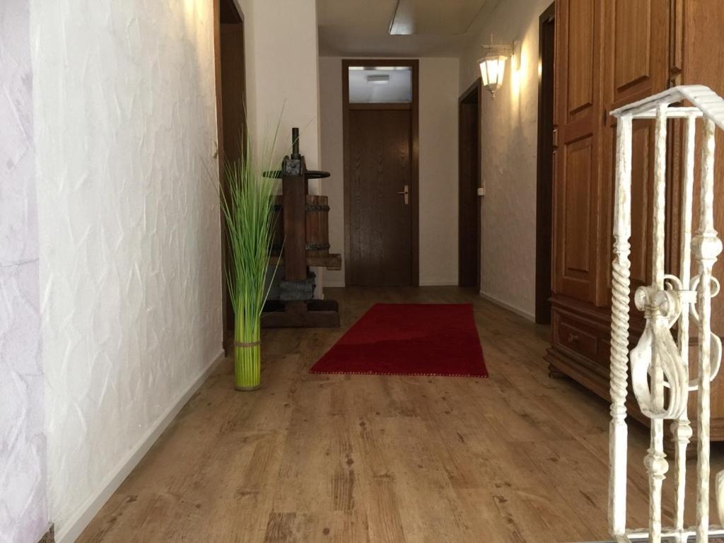 פיכטנאו See-Hotel Storchenmuehle מראה חיצוני תמונה